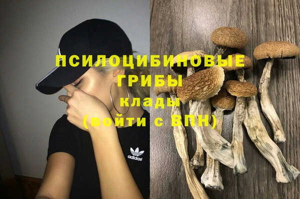 ALPHA-PVP Алексин
