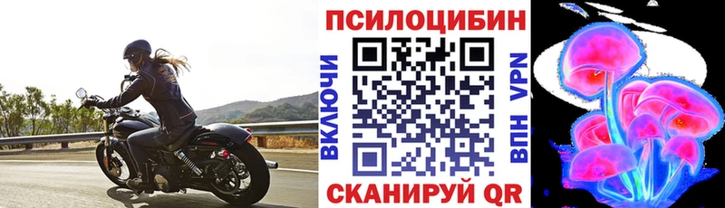 Псилоцибиновые грибы Cubensis Котовск