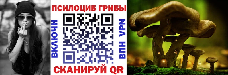 Псилоцибиновые грибы прущие грибы  Котовск 
